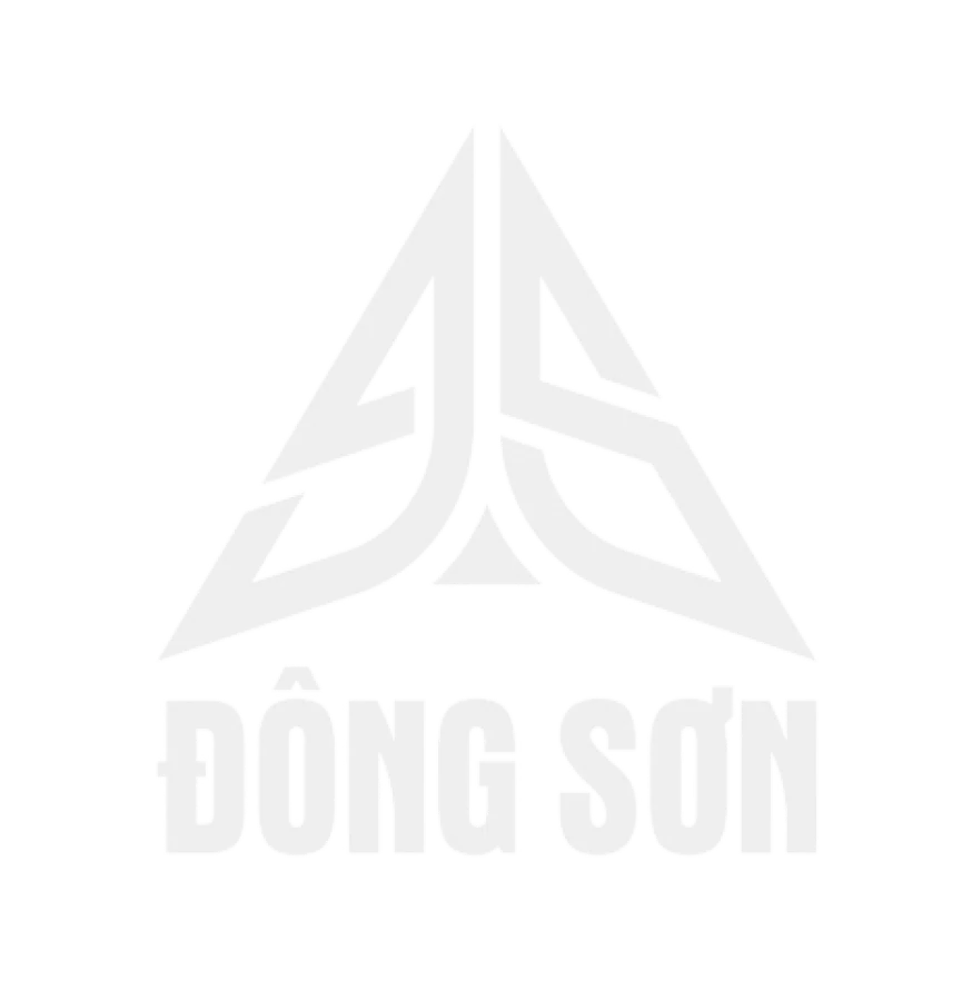 Đông Sơn Holdings